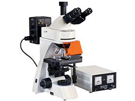 PZ-L3001落射荧光显微镜
