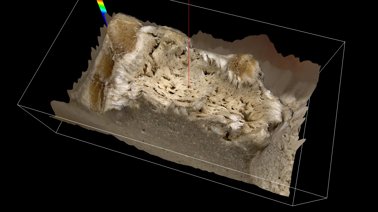 三维超景深显微镜的应用行业
