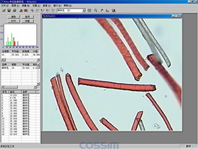 纤维细度自动测量分析